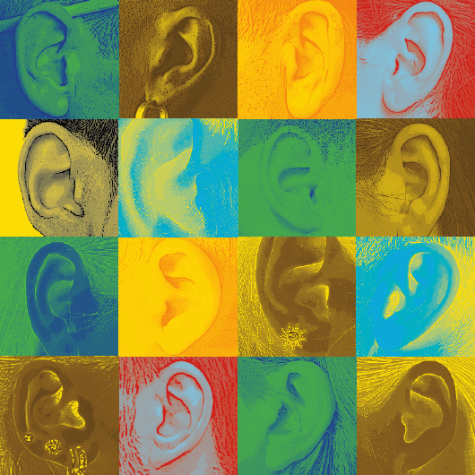 					View Vol. 5 (2015): Individual Hearing Loss - Characterization, modelling, compensation strategies
				