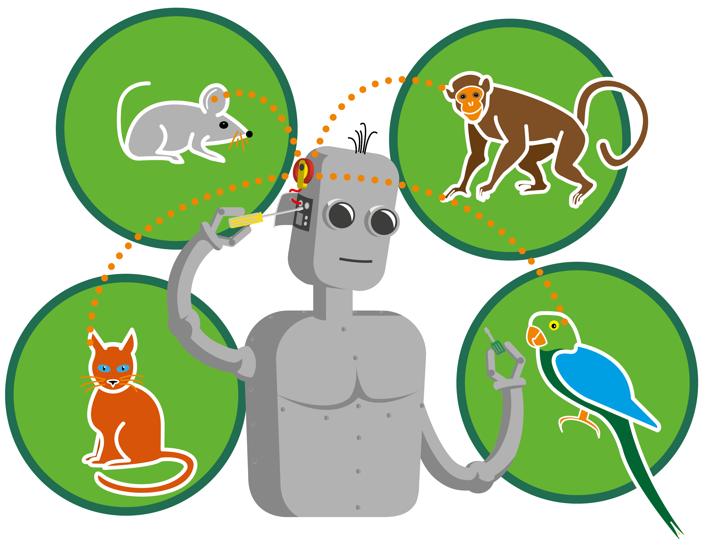 Auditory Learning in Biological and Artificial Systems