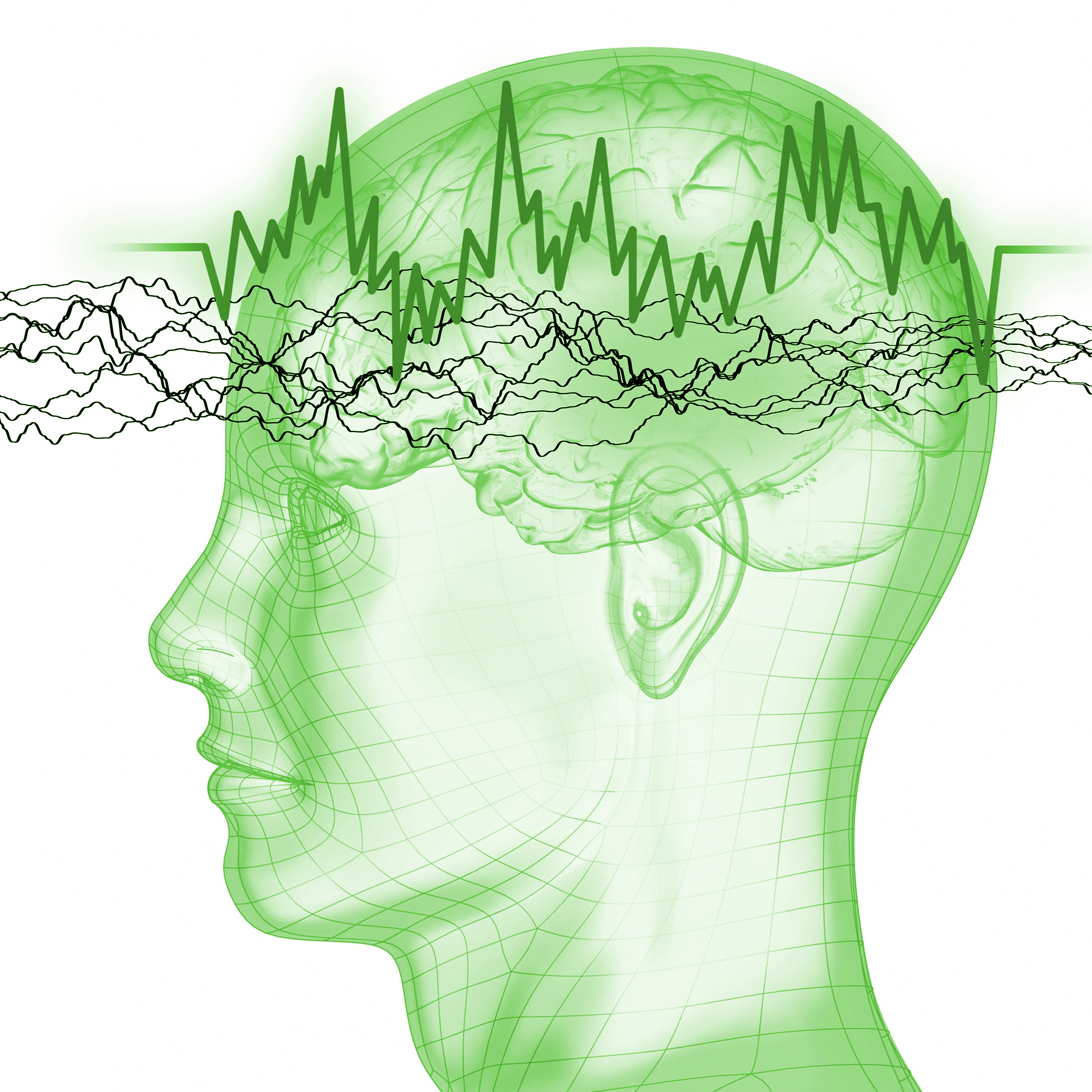 Adaptive processes in hearing